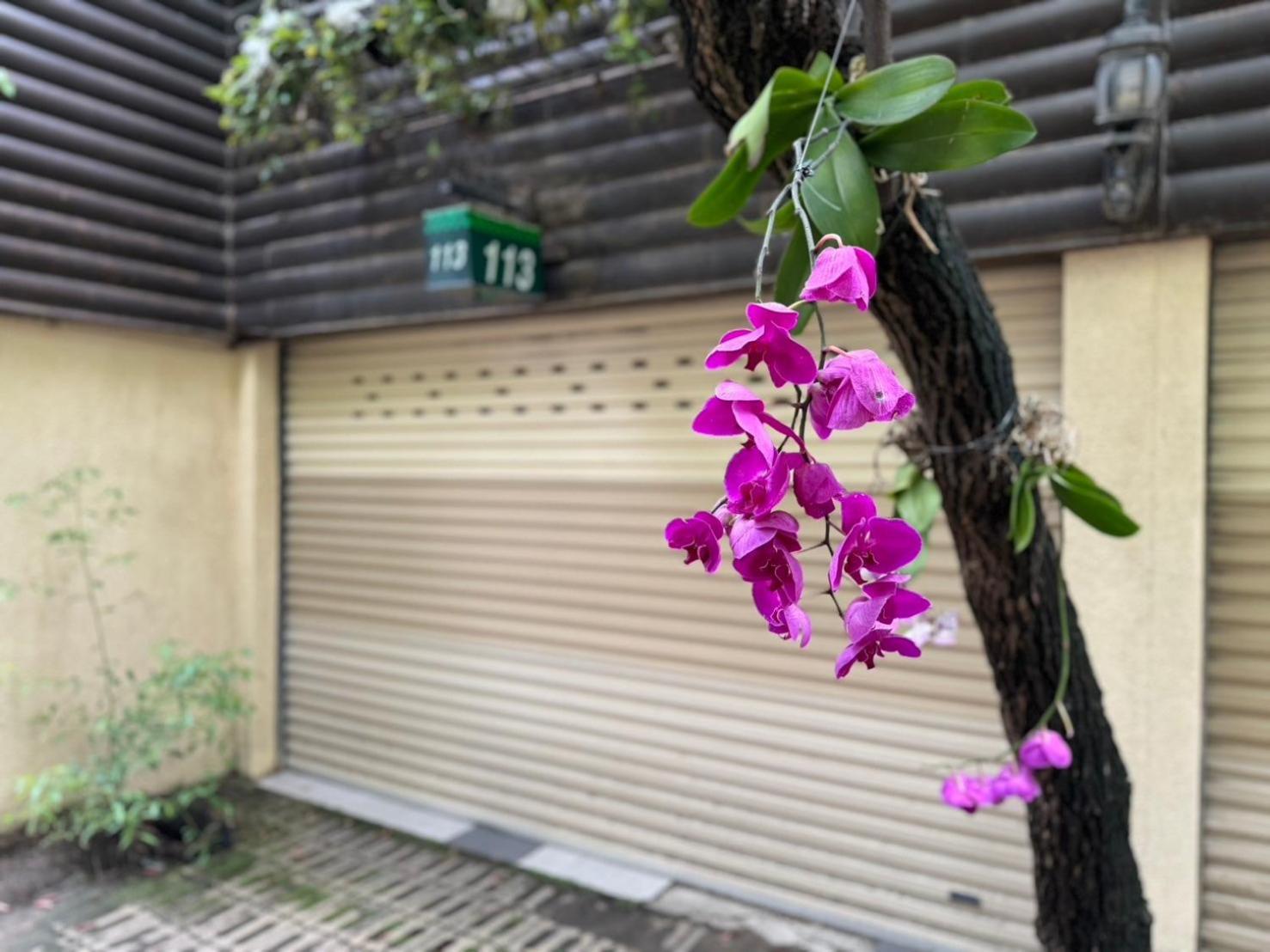 Ivy Motel Chiayi City Exterior foto