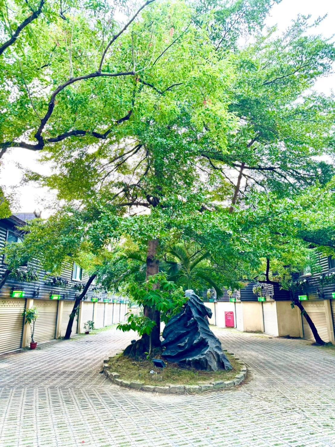 Ivy Motel Chiayi City Exterior foto